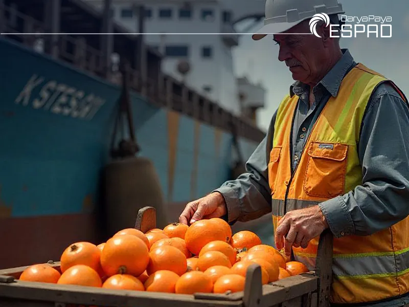 Cargo Classification in the Maritime Transport Industry